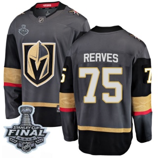 Men's Ryan Reaves Vegas Golden Knights Fanatics Branded Home 2018 Stanley Cup Final Patch Jersey - Breakaway Black